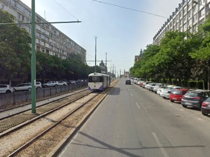 Transport Marfa Mutari Mobila Debarasari Ridic Moloz Timisoara