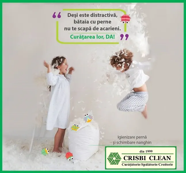 CRISBI CLEAN CURATATORIE / SPALATORIE / CROITORIE