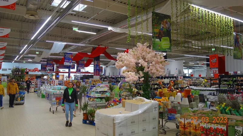 Centrul Comercial Auchan Timișoara Nord - Distribuitor Vivanatura