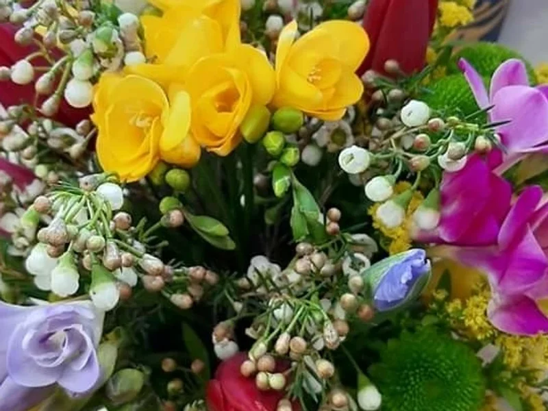 Floraria Iulia Dreams