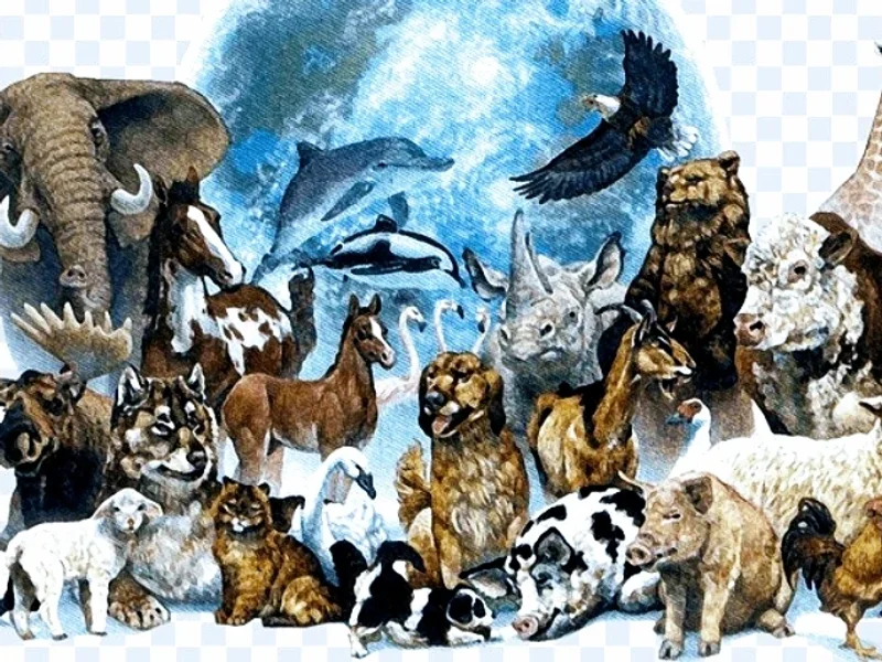 Farmacie Veterinara Planet vet