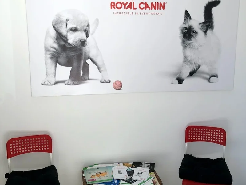 Pet Boutique Popesti Leordeni