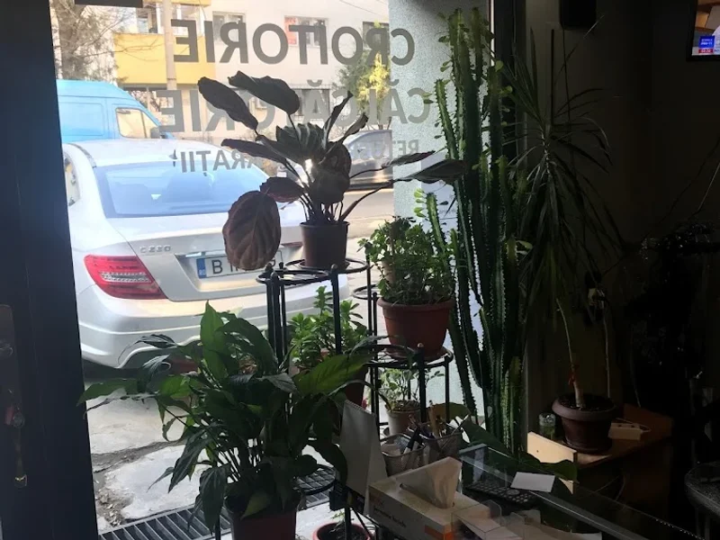 Croitorie - Calcatorie