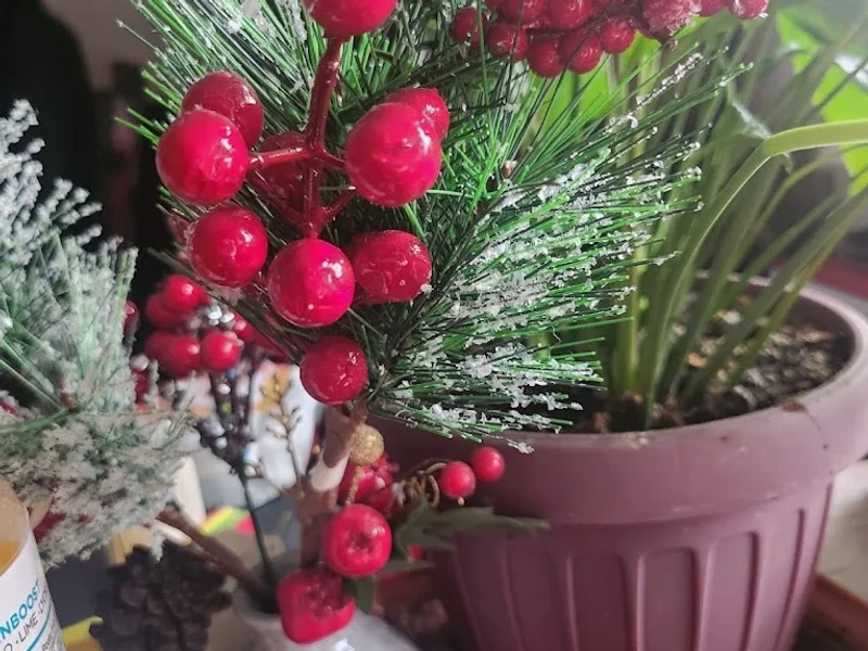 Chris Natural Energy