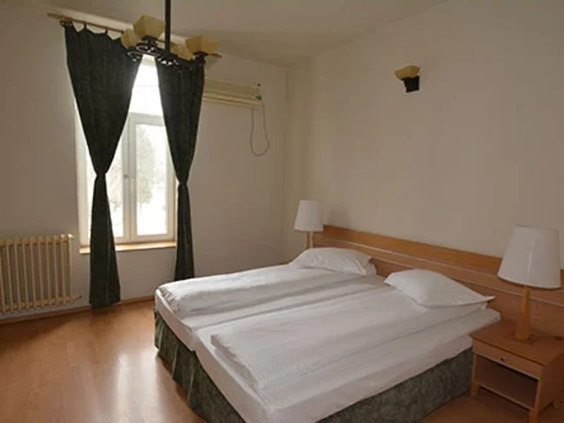 Pensiunea Restaurant Carmelita