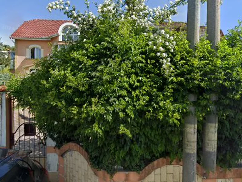 Raze de Soare