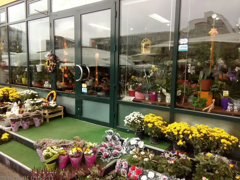 Flora Trend - Florarie Brasov