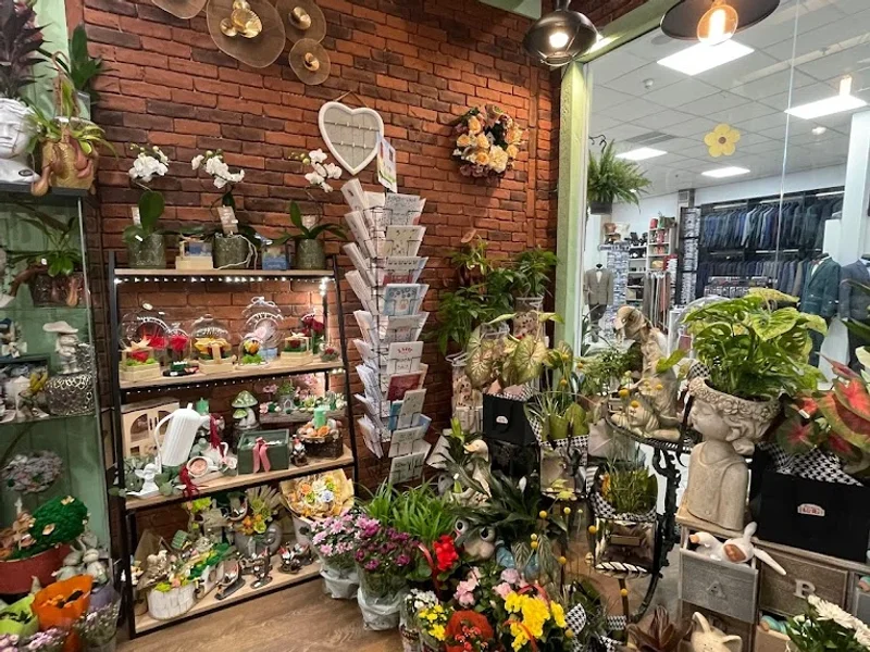 Florăria Mara - Eliana Mall