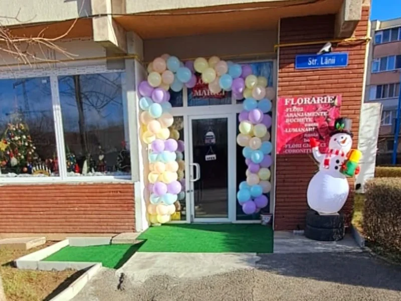 Floraria Mariei - Florarie Brasov. Flori, Buchete Flori, Livrare Flori, Aranjamente Florale Brasov. Trandafiri Brasov