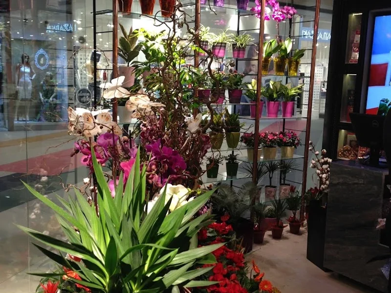 Florăria Magnolia (Coresi Shopping Resort)