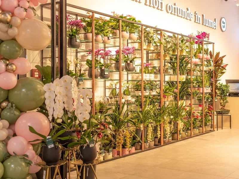 Florăria Magnolia - Electroputere Mall Craiova