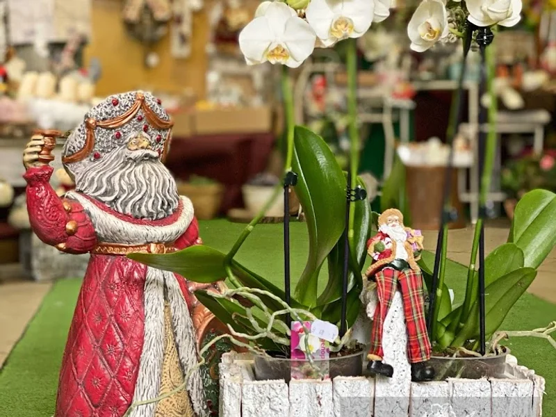 Floraria ORHIDEEA NATALIA