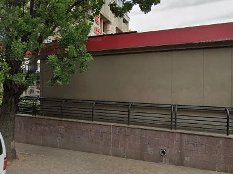 Ariela Sebiș - Haine din piele și blană