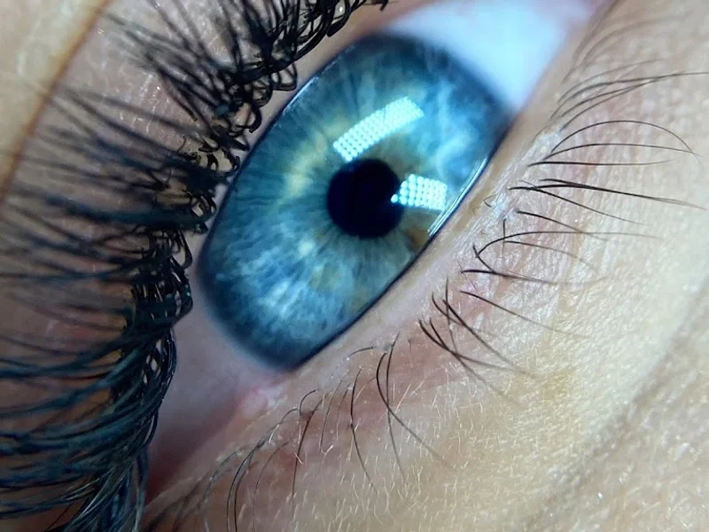 HM Studio by Horia Marchis