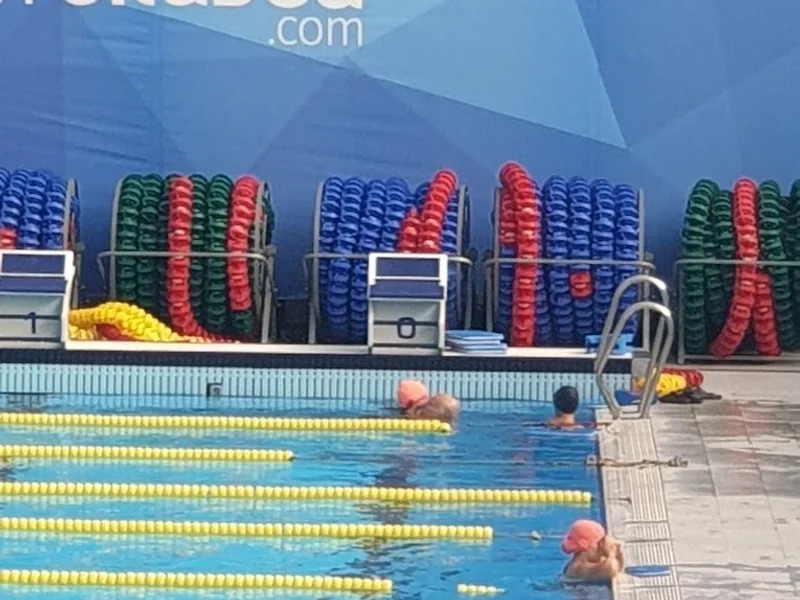 Bazinul Olimpic Ioan Alexandrescu