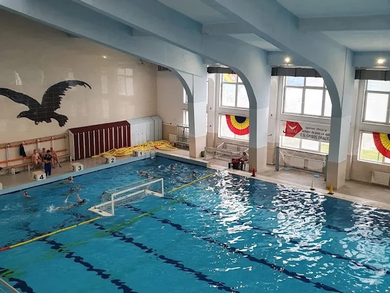 Bazinul Acoperit Crișul