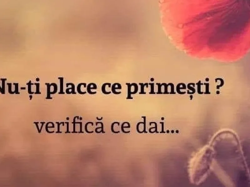 Red service KAROSERIE srl Mecanica , tinichigerie si vopsitorie