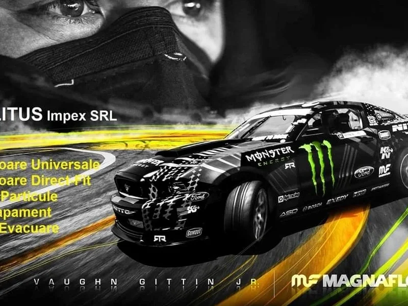 Eșapamente Service Krizolitus