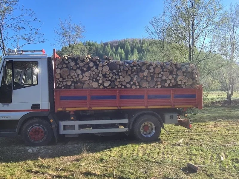 Transport basculabil Brașov 3.5 - 12 T