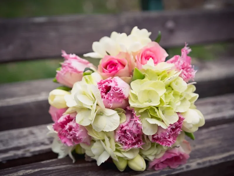 Simart Studio foto-video Brasov