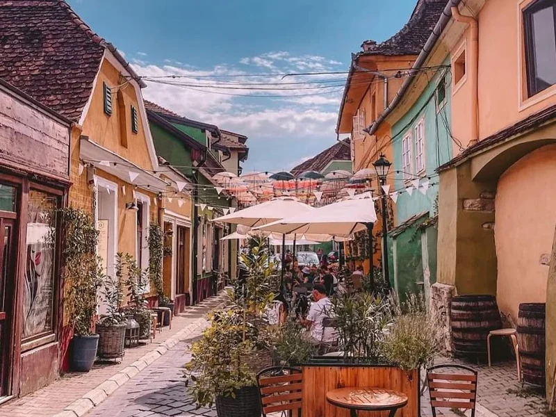 Taxi-Brasov ( Bran & Peles Castel!)