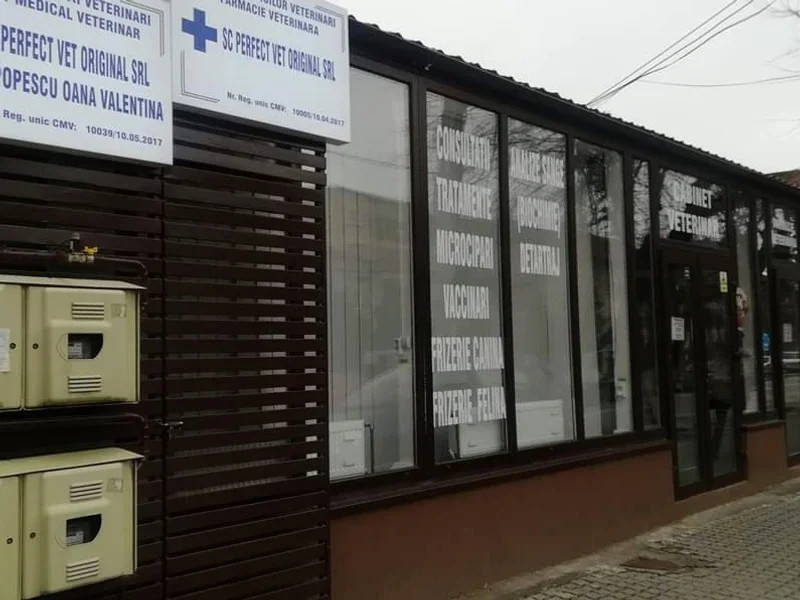 PERFECT VET ORIGINAL