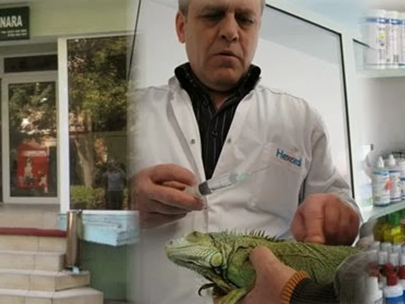 Safta Clinica Veterinara