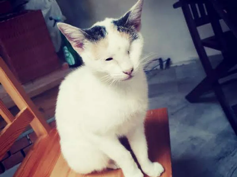 One Hope Dr. Alex Cernea