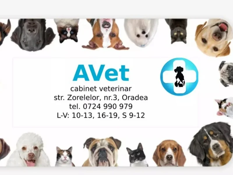 Cabinet veterinar Avet Oradea