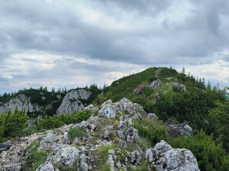 Active Holidays Romania