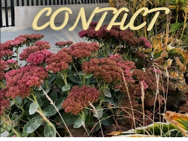 Centru de Masaj Kinetoterapie - Oasis Plus Massage Center