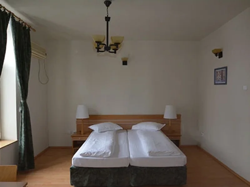 Pensiunea Restaurant Carmelita