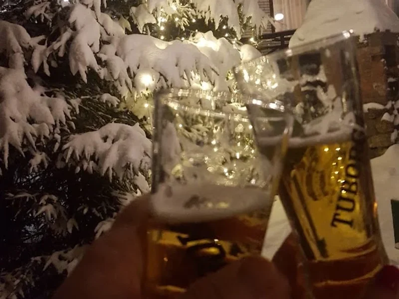 Traveland Alpina Resort Poiana Brasov