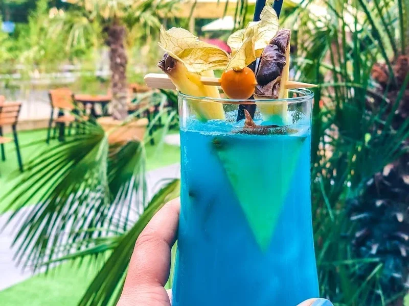 Paradise Lounge