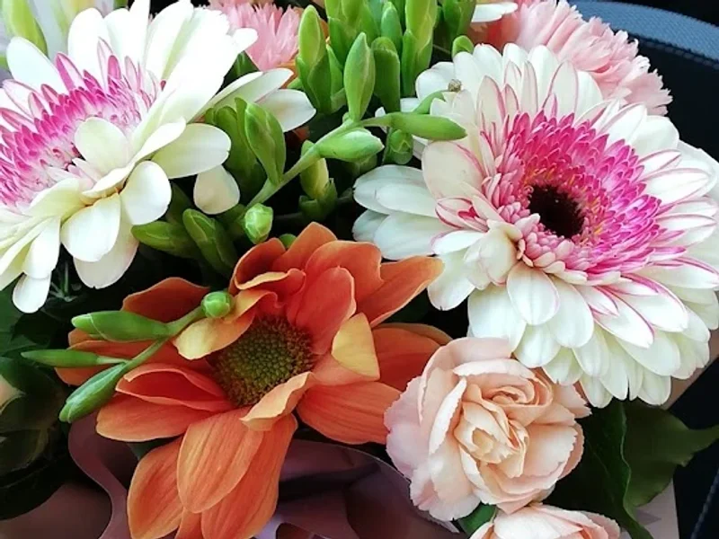 Florăria Flamingo Arad