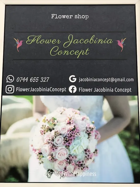 Flower Jacobinia Concept