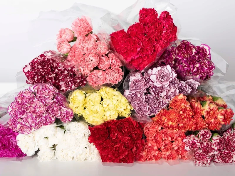 Turkuaz Flowers Piteşti