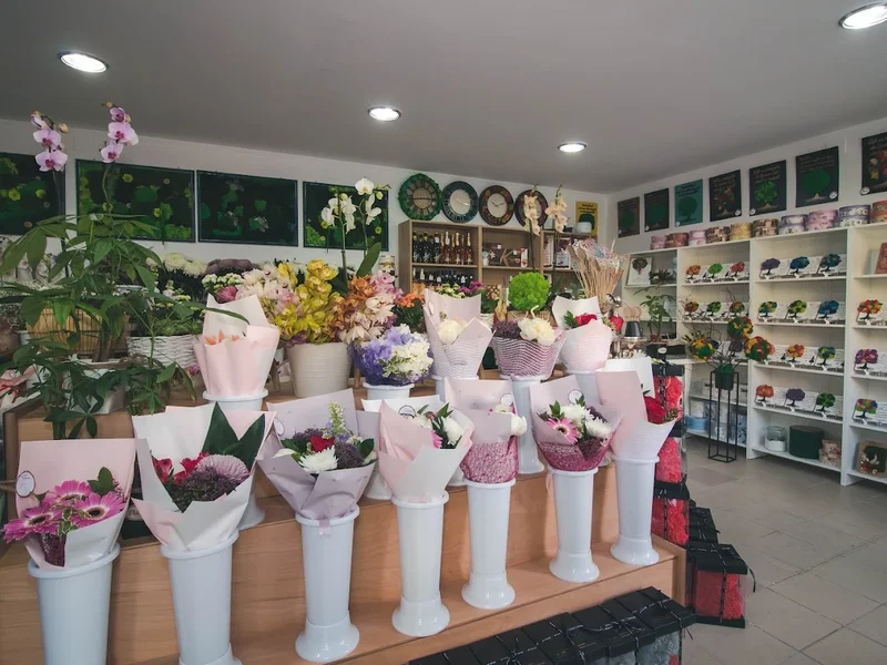 Elixir Flowers shop srl
