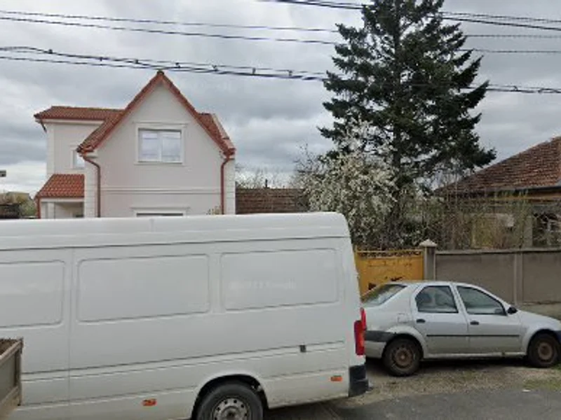 Placinta intinsa de Bihor