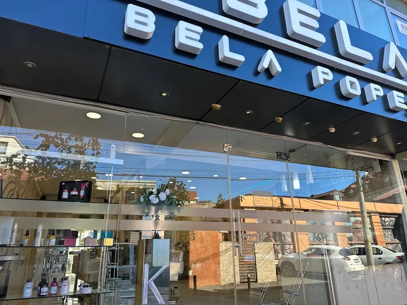 Salon Bela Popescu