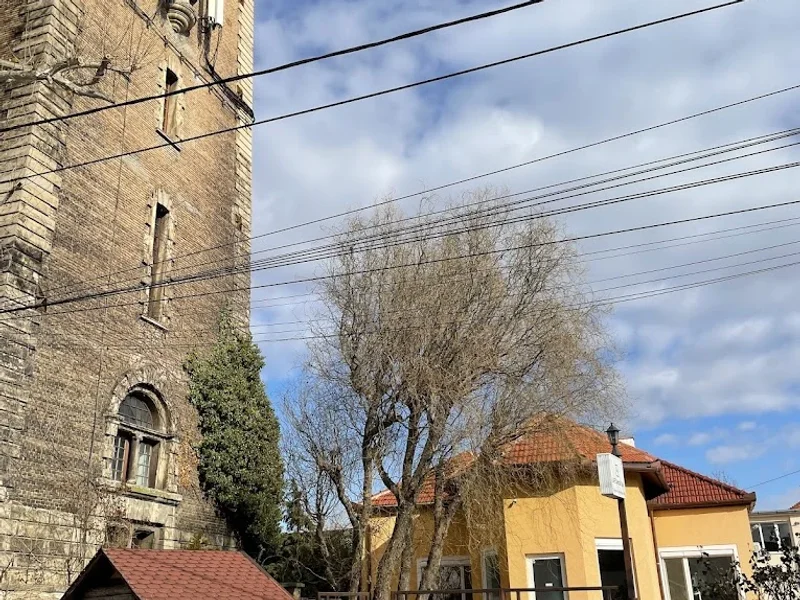 Life Dental Spa Arad