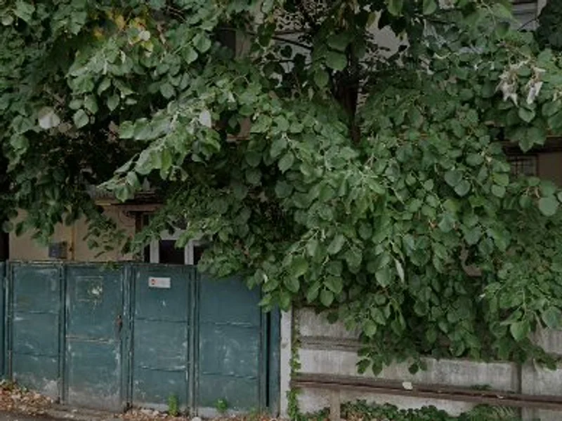 Transport persoane Germania - Inter Sandu Tur