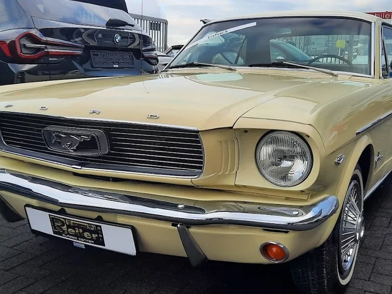 Cat Auto Spedition SRL