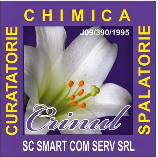 Smart Com Serv SRL