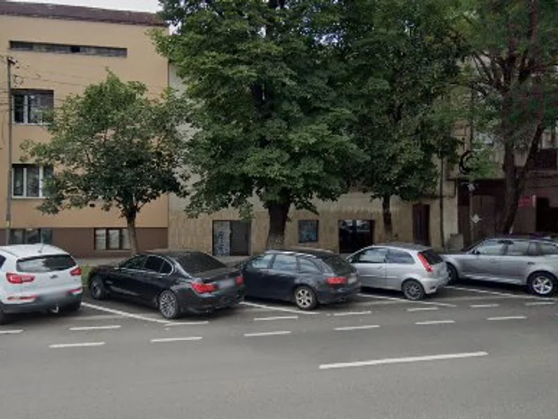 GAVROCHE Curatatorie&Spalatorie Ecologica Haine Arad