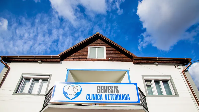 Genesis Clinica Veterinara