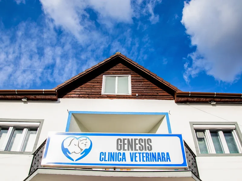 Genesis Clinica Veterinara