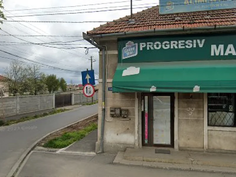 Dr Dobrity Cabinet Veterinar Arad, Veterinar Arad, Analize Animale. Vaccinare, Microcipare Caini