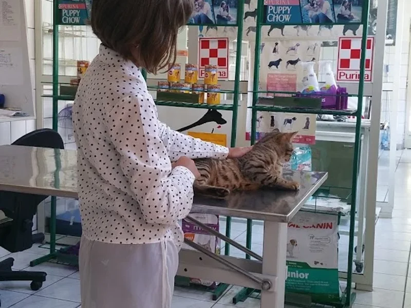 Cabinet si Farmacie veterinara Dr.Visinescu AMIVET