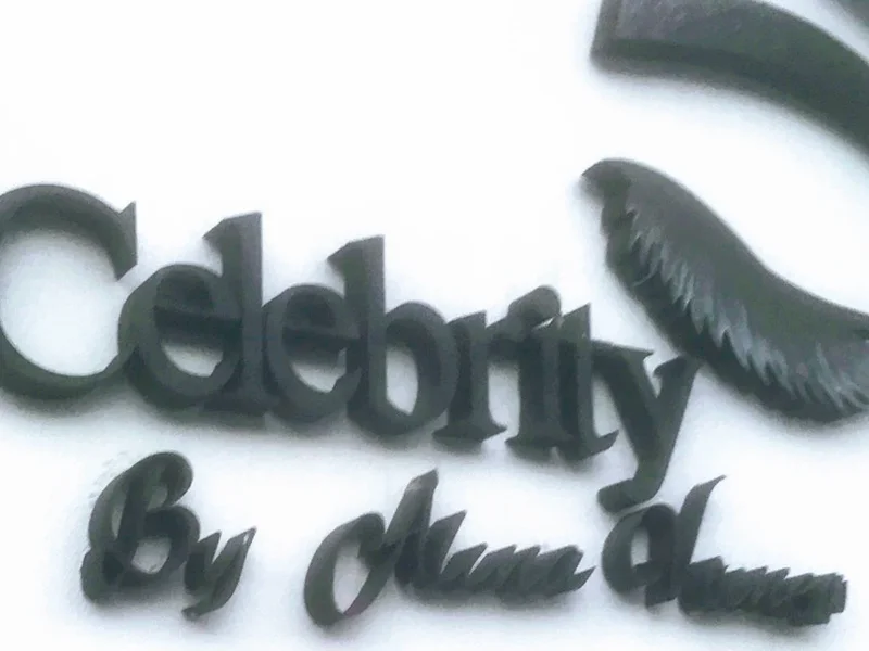 Celebrity by Alina Voinea